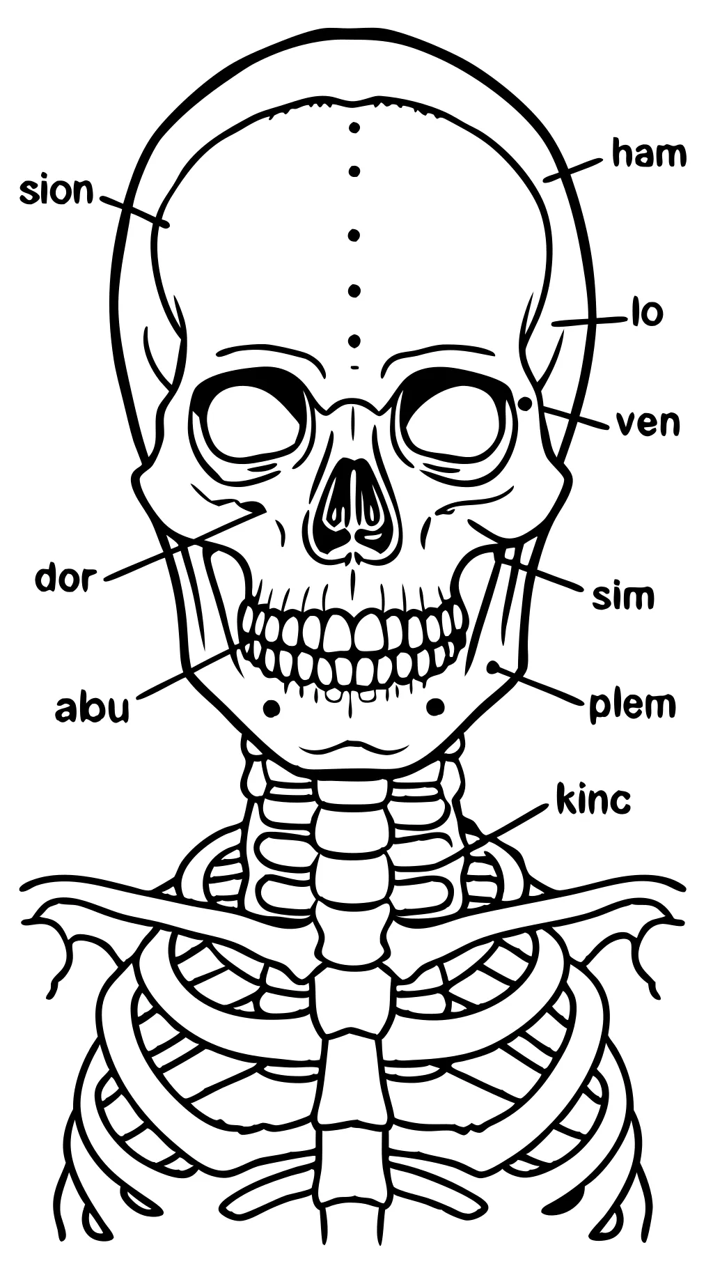 bones of the orbit coloring page